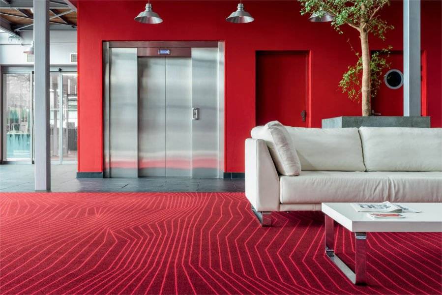Salon sol